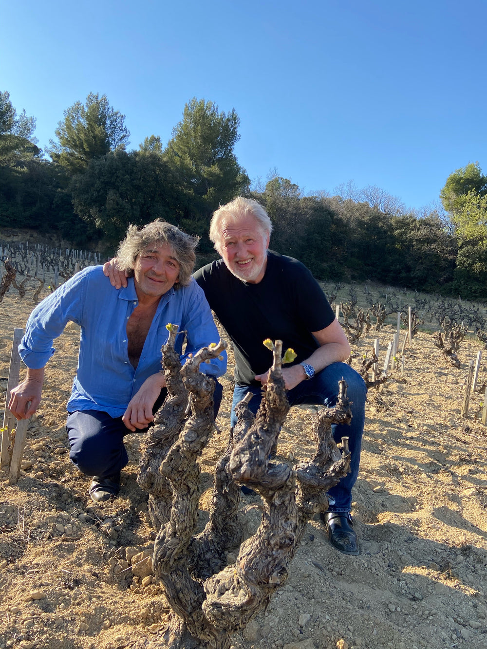 Gari - The wine of Pierre Gagnaire and Rudy Ricciotti